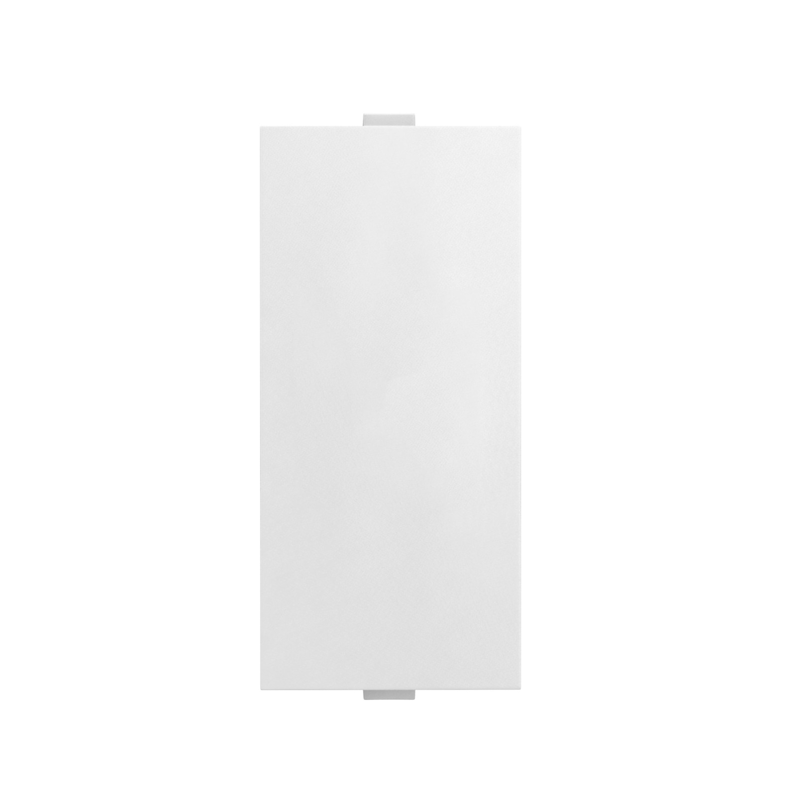 Blank Plate - Image 2